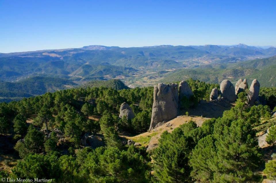 Casas Rurales Los Palenques Villaverde De Guadalimar ภายนอก รูปภาพ